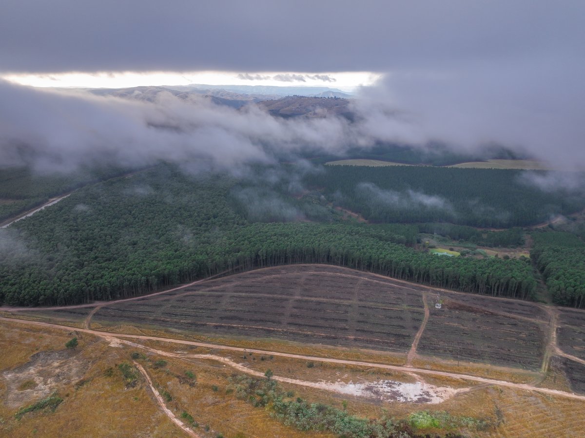 Ahrens(Little Germany in KZN)