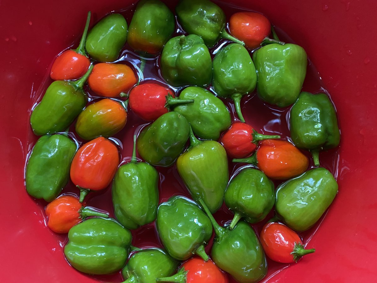 Red and Green Baby Peppers