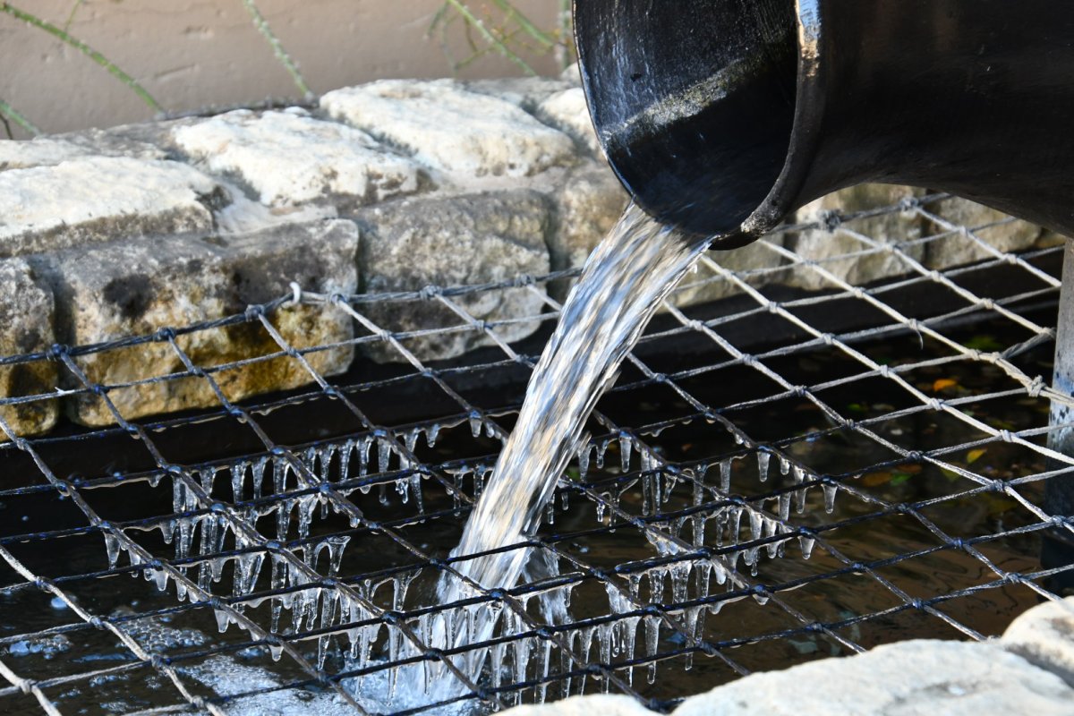 Winter in Joburg - 2021