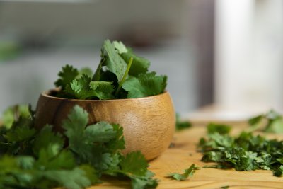 Coriander in a bowl