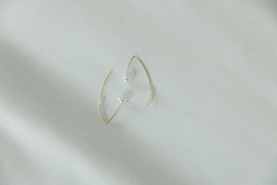 Shaped earings