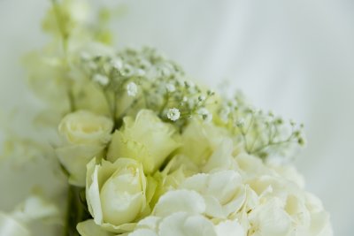 White roses with a warm feel