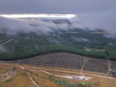 Ahrens(Little Germany in KZN)