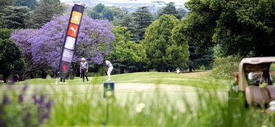 Two male golfers playing golf on a sunny day with green trees in summer