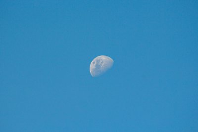 Moon in blues